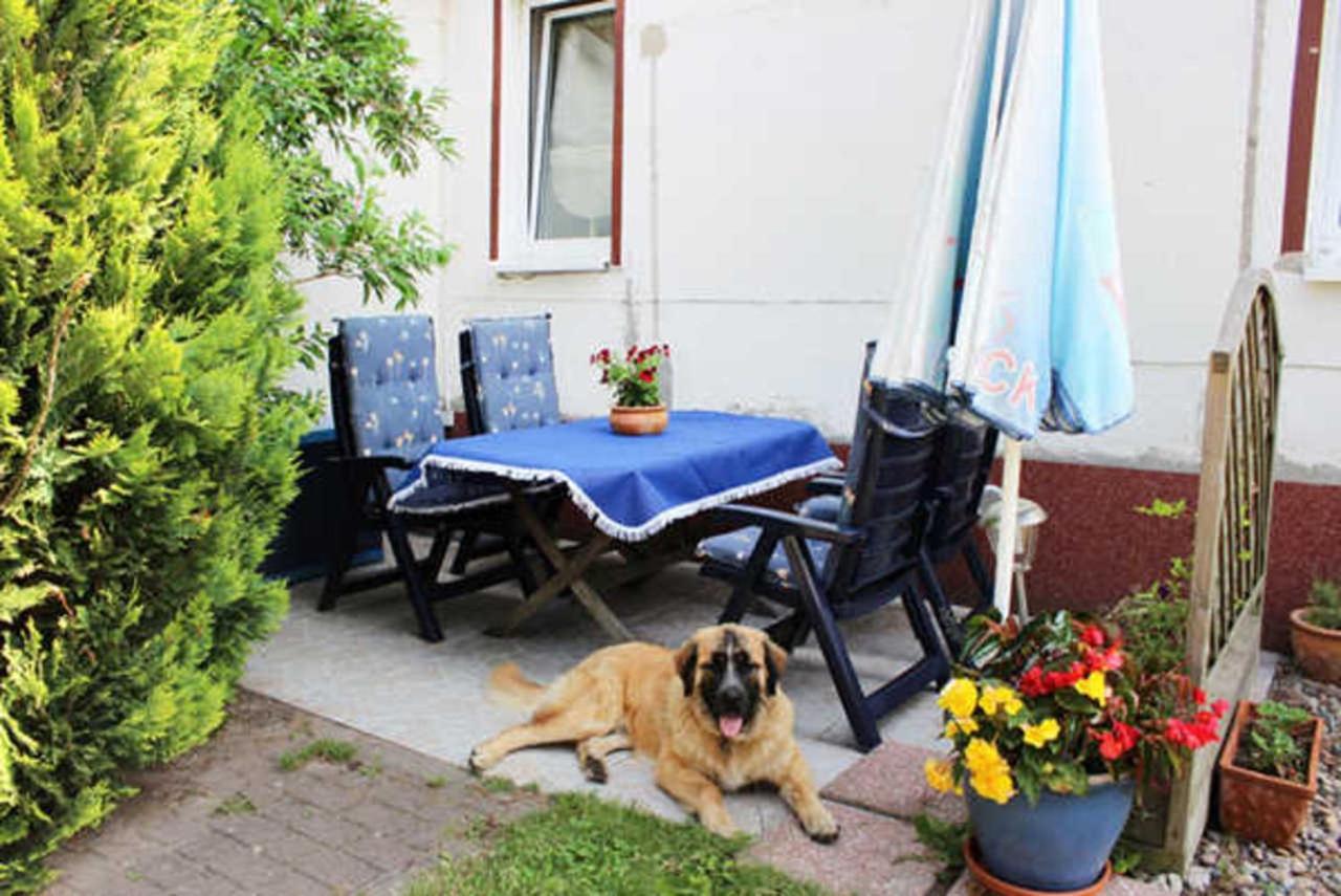 Isabell Apartment Zinnowitz Luaran gambar
